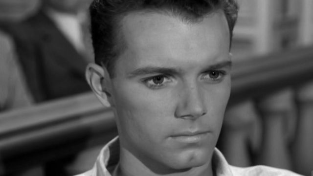 Peter Miles as Robert Miles as Perry's client